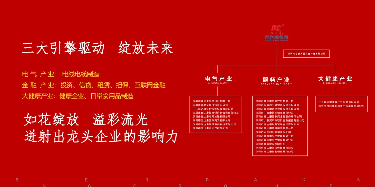 奔达康集团二十周年时尚盛典活动演示PPT模板 - 第9页