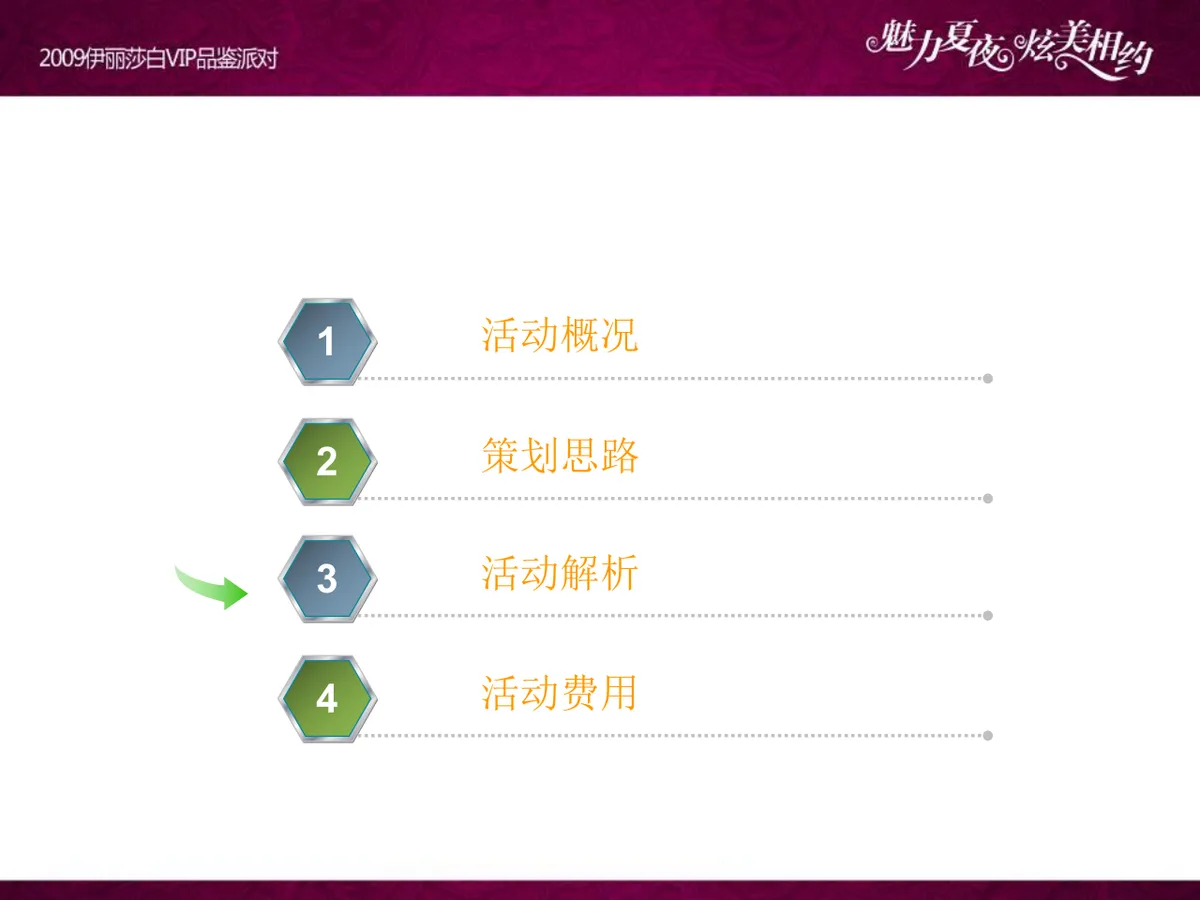 魅力夏夜炫美相约伊丽莎白VIP品鉴派对项目策划案PPT模板 - 第12页