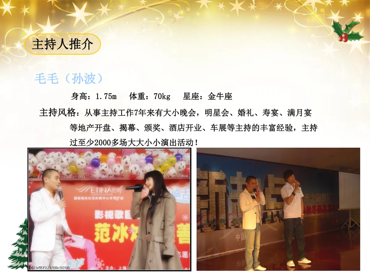 绚丽绽放圣诞之夜陇海大酒店圣诞嘉年华活动策划方案PPT模板 - 第26页
