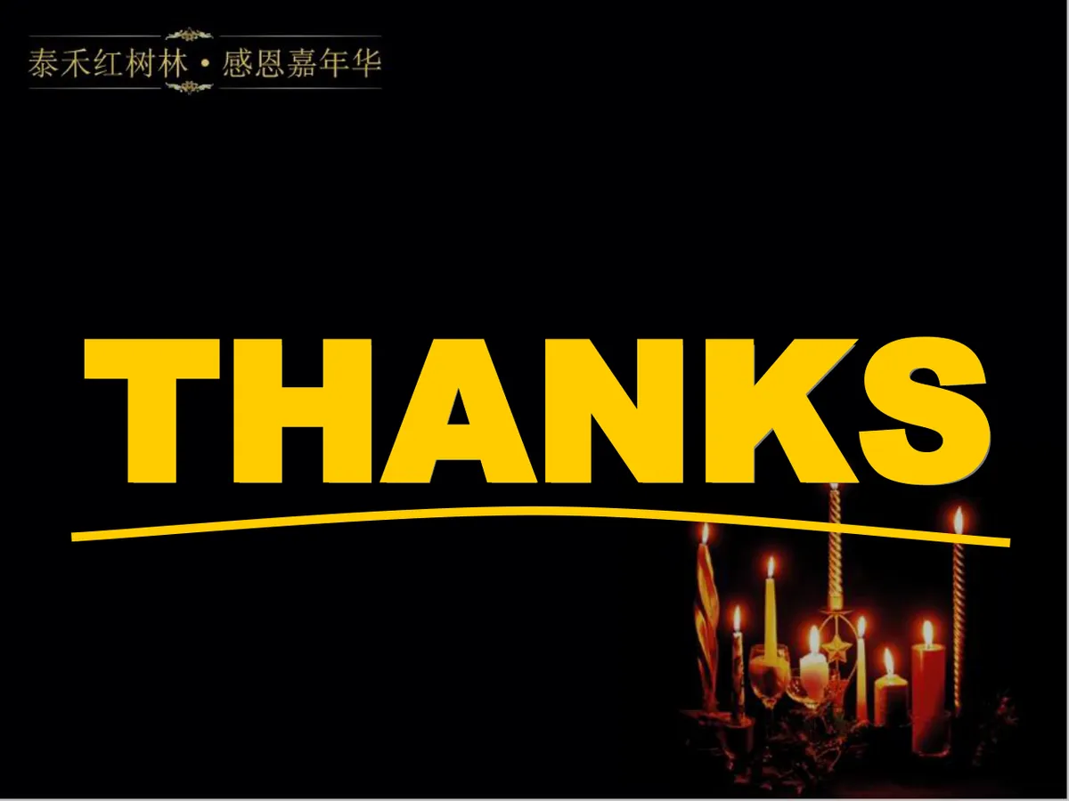 泰禾红树林感恩嘉年华活动策划方案PPT模板 - 第22页