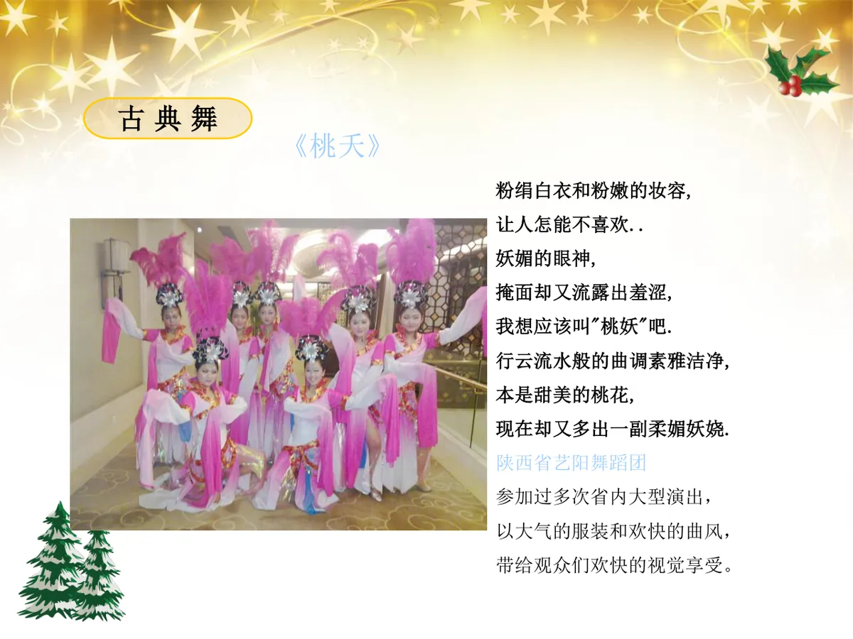 绚丽绽放圣诞之夜陇海大酒店圣诞嘉年华活动策划方案PPT模板 - 第25页