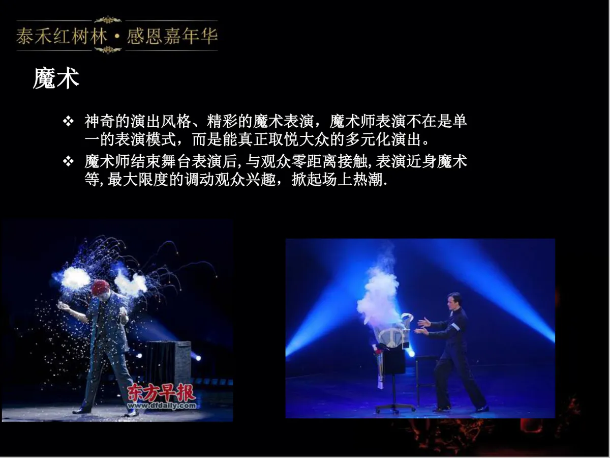 泰禾红树林感恩嘉年华活动策划方案PPT模板 - 第16页