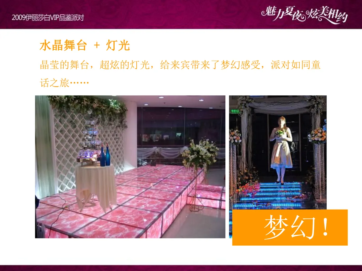魅力夏夜炫美相约伊丽莎白VIP品鉴派对项目策划案PPT模板 - 第23页