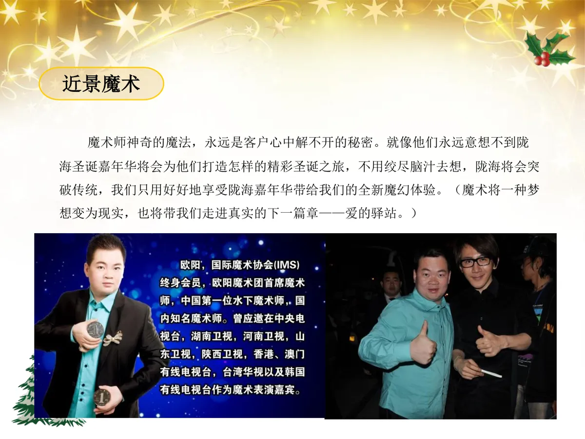 绚丽绽放圣诞之夜陇海大酒店圣诞嘉年华活动策划方案PPT模板 - 第19页