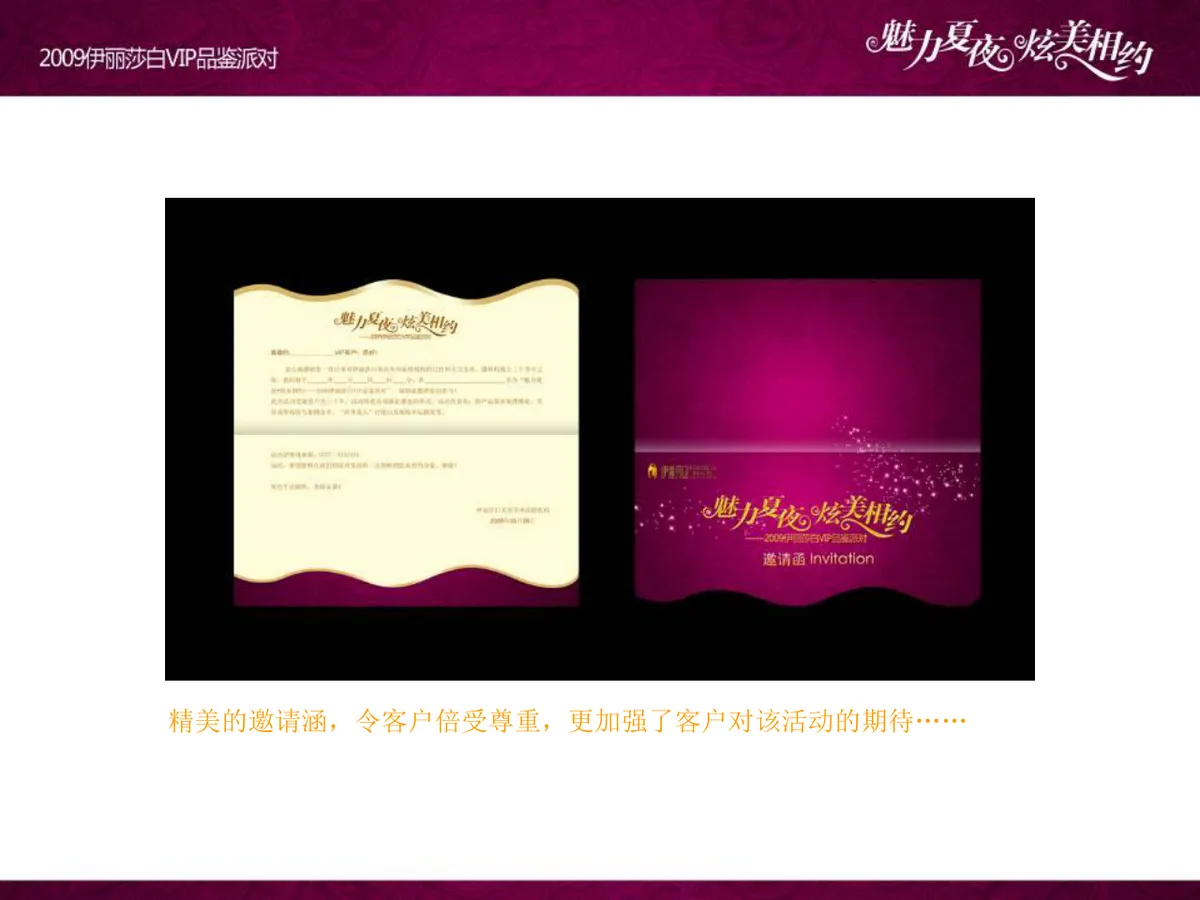 魅力夏夜炫美相约伊丽莎白VIP品鉴派对项目策划案PPT模板 - 第13页