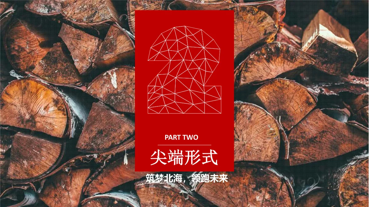 广西北海极客摇滚跑暨三诺集团四周年庆典活动策划PPT模板 - 第19页