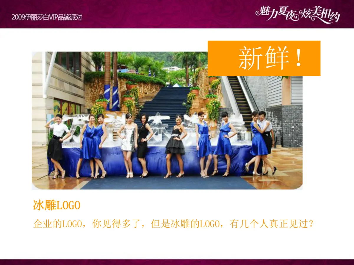 魅力夏夜炫美相约伊丽莎白VIP品鉴派对项目策划案PPT模板 - 第19页