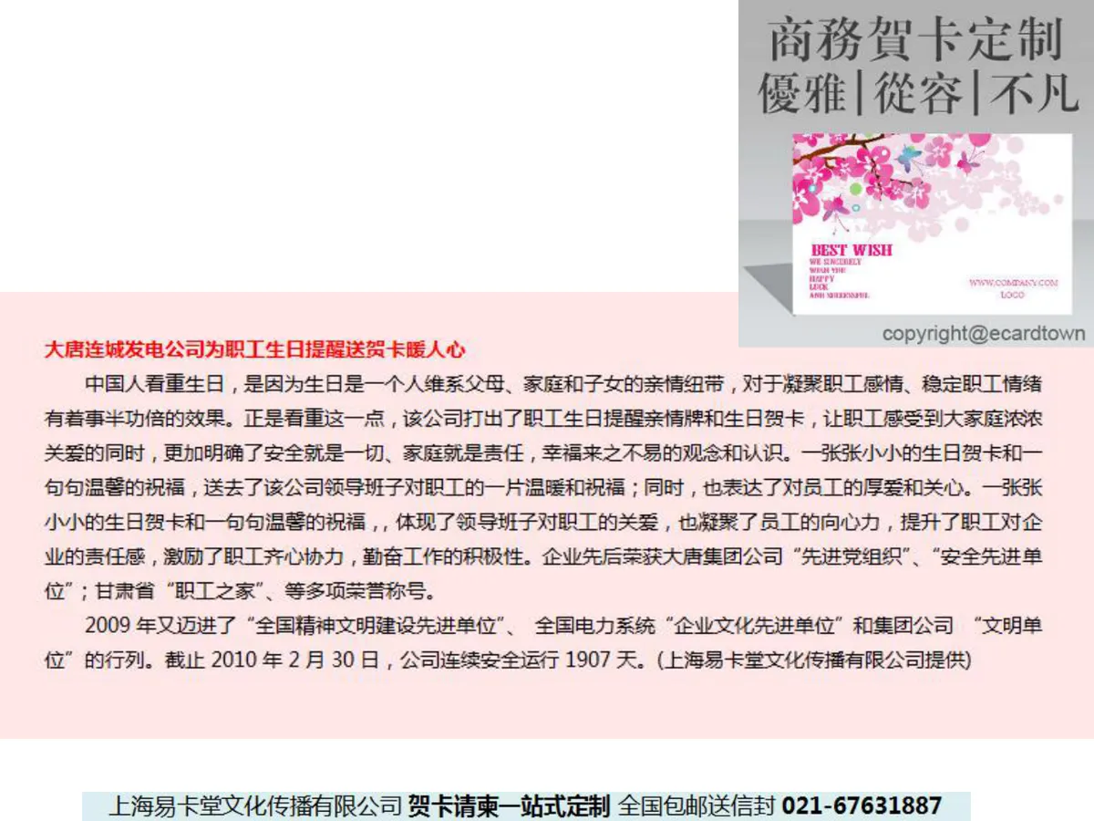 企业员工生日福利方案公司案例分享PPT模板 - 第15页