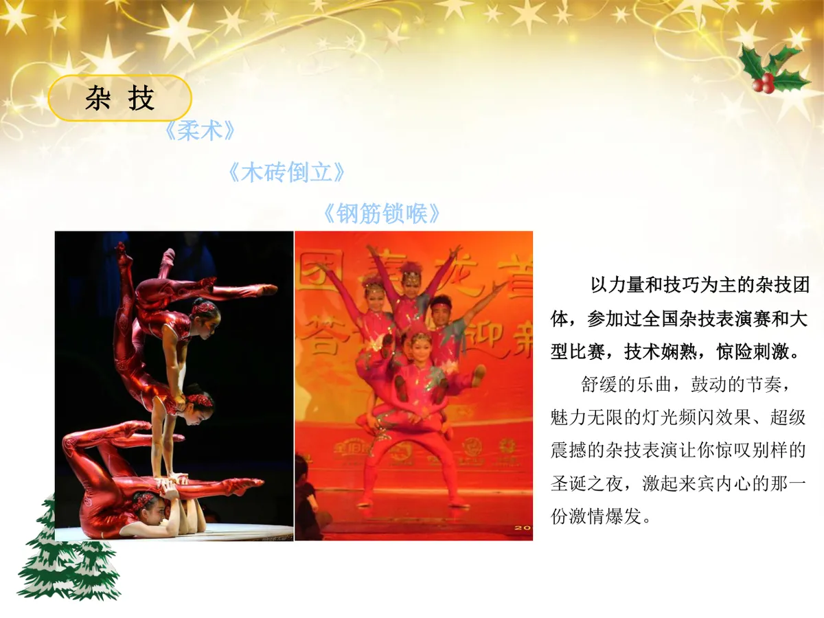 绚丽绽放圣诞之夜陇海大酒店圣诞嘉年华活动策划方案PPT模板 - 第16页