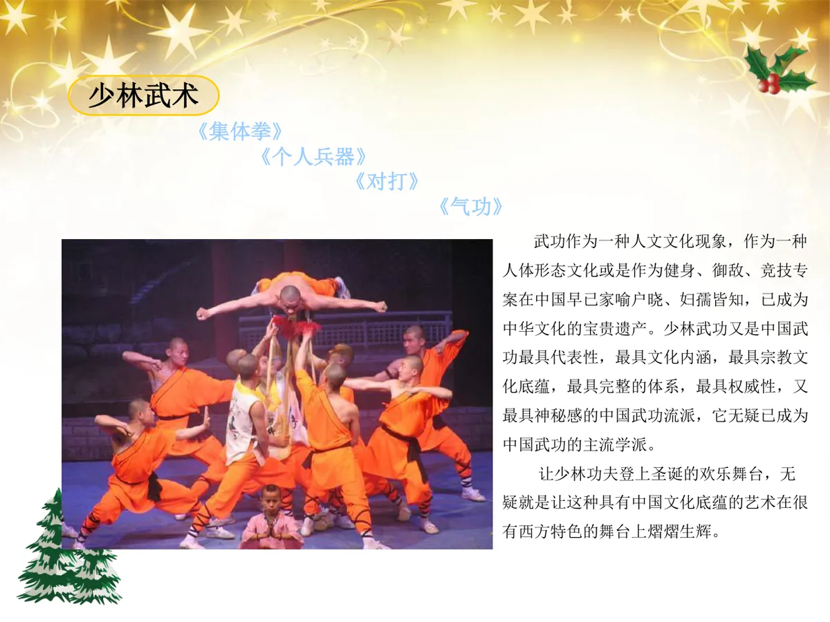 绚丽绽放圣诞之夜陇海大酒店圣诞嘉年华活动策划方案PPT模板 - 第23页