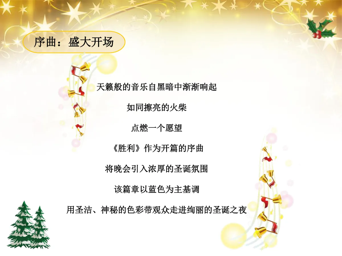 绚丽绽放圣诞之夜陇海大酒店圣诞嘉年华活动策划方案PPT模板 - 第12页