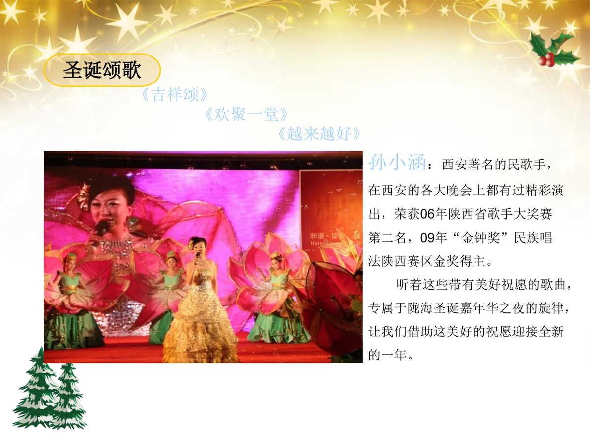 绚丽绽放圣诞之夜陇海大酒店圣诞嘉年华活动策划方案PPT模板 - 第15页