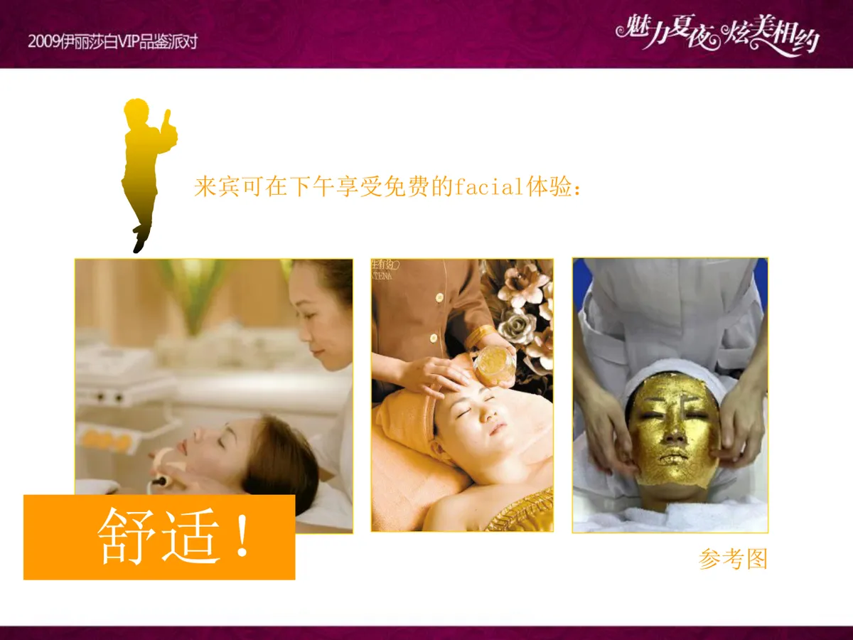 魅力夏夜炫美相约伊丽莎白VIP品鉴派对项目策划案PPT模板 - 第24页