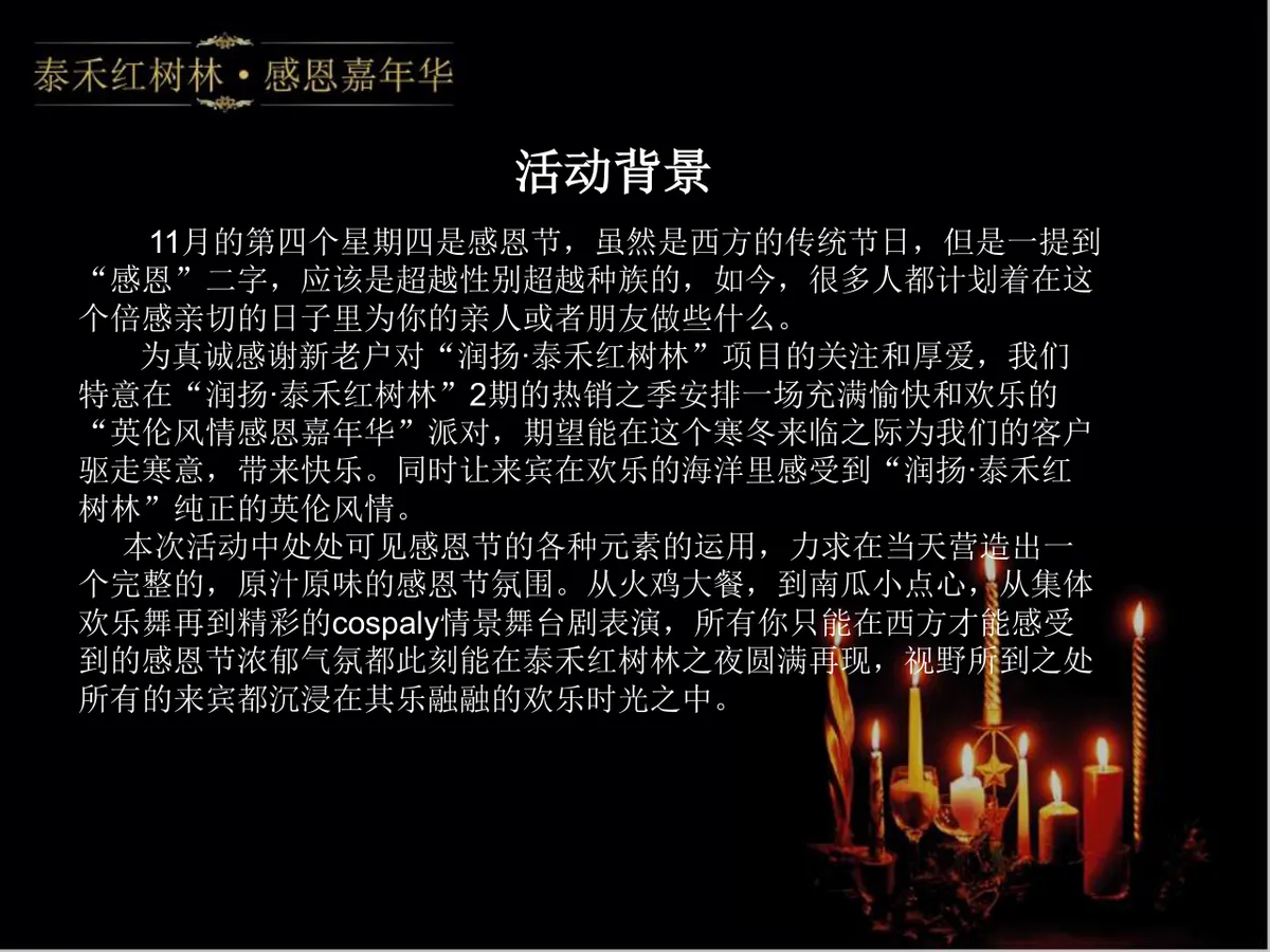 泰禾红树林感恩嘉年华活动策划方案PPT模板 - 第2页