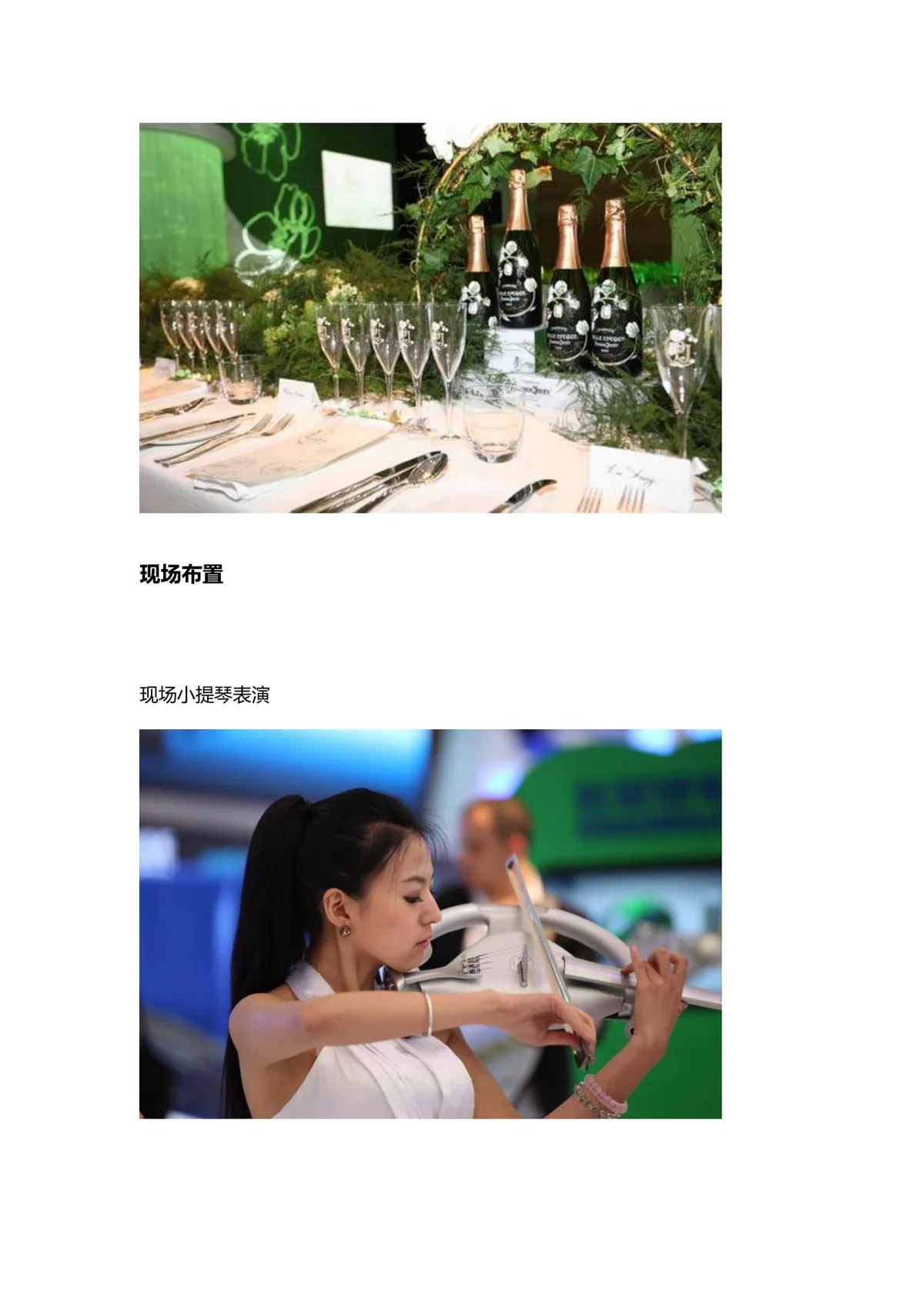 恋上巴黎之花主题派对活动策划方案Word文档 - 第5页