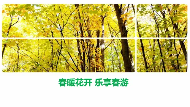 春暖花开乐享春游团建活动策划PPT模板 - 封面预览