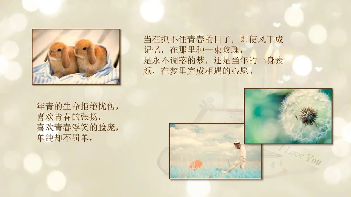 温馨生日快乐主题纪念祝福展示PPT模板 - 第11页