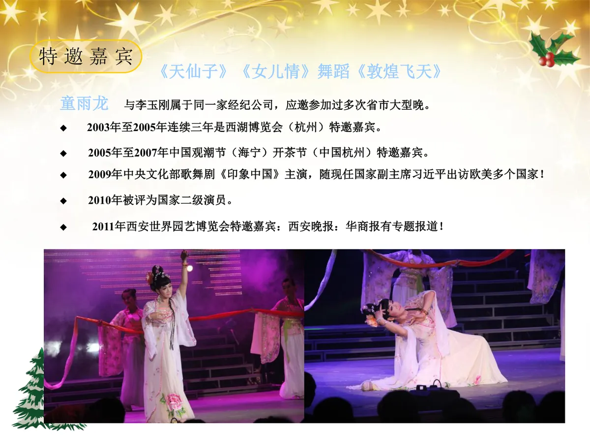 绚丽绽放圣诞之夜陇海大酒店圣诞嘉年华活动策划方案PPT模板 - 第24页