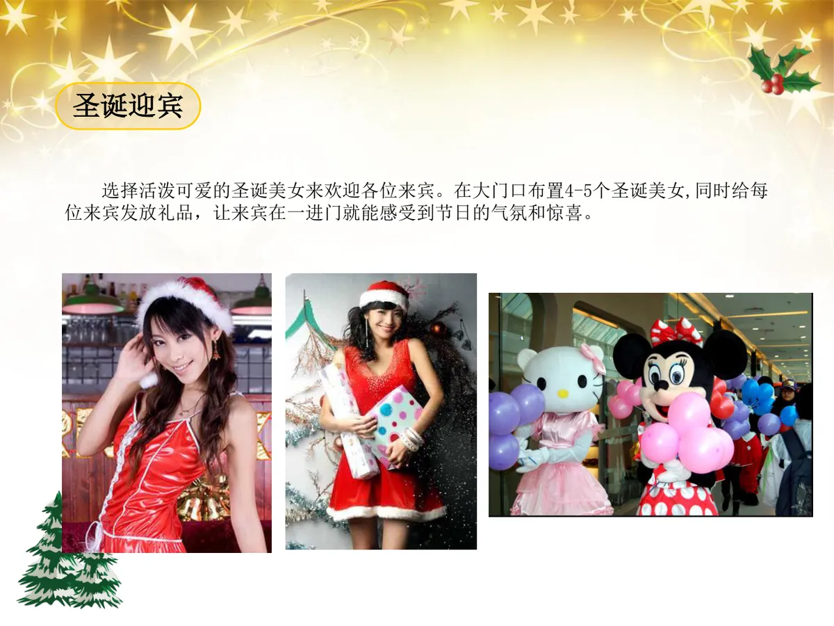绚丽绽放圣诞之夜陇海大酒店圣诞嘉年华活动策划方案PPT模板 - 第11页