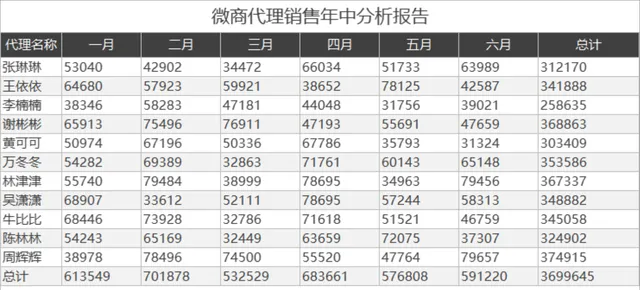 微商代理销售年中数据分析统计Excel表格 - 封面预览