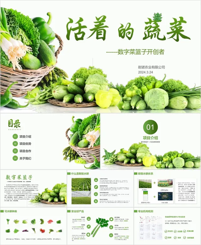 活着的蔬菜数字菜篮子农业项目介绍PPT模板 - 封面预览