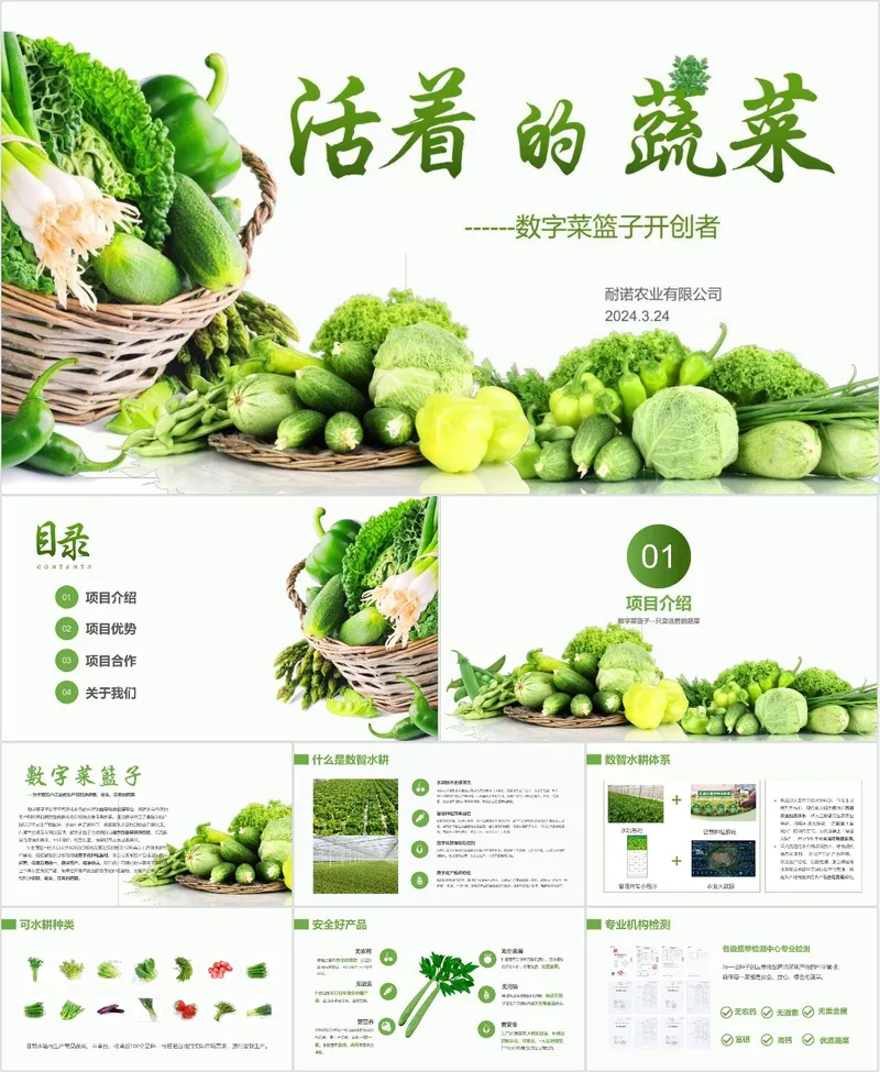 活着的蔬菜数字菜篮子农业项目介绍PPT模板 - 封面预览