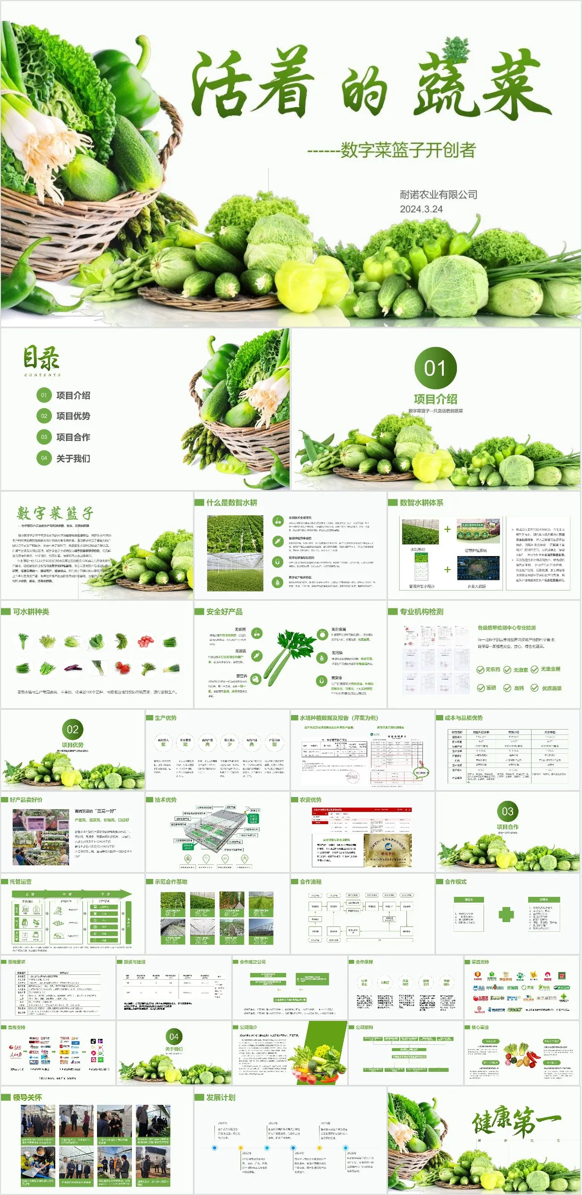 活着的蔬菜数字菜篮子农业项目介绍PPT模板 - 模板内页详情长图