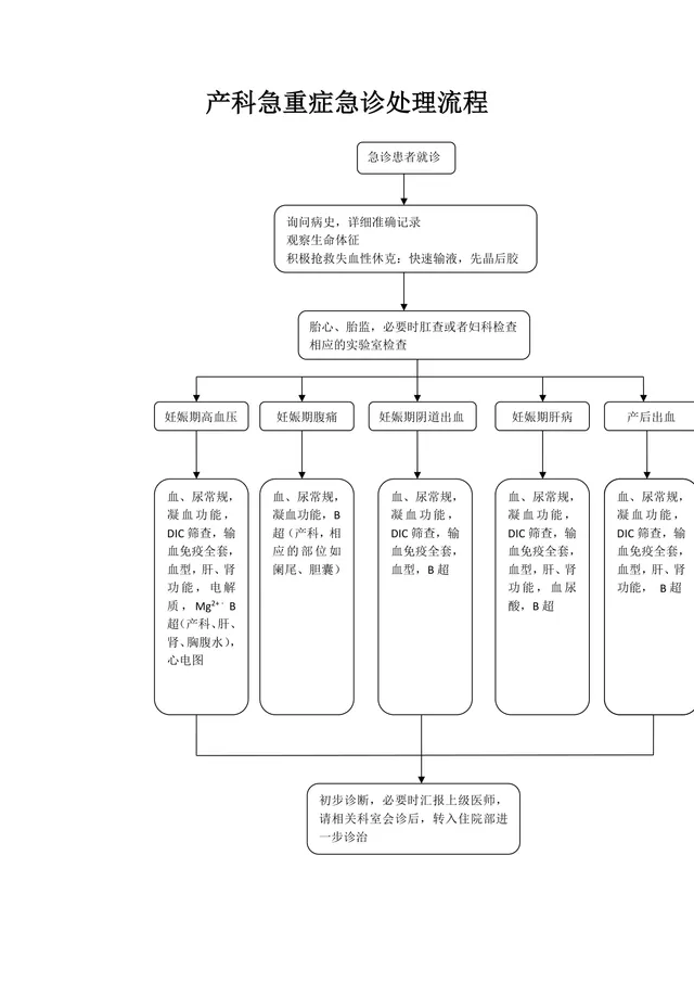 产科急重症急诊处理流程思维导图Word模板 - 封面预览