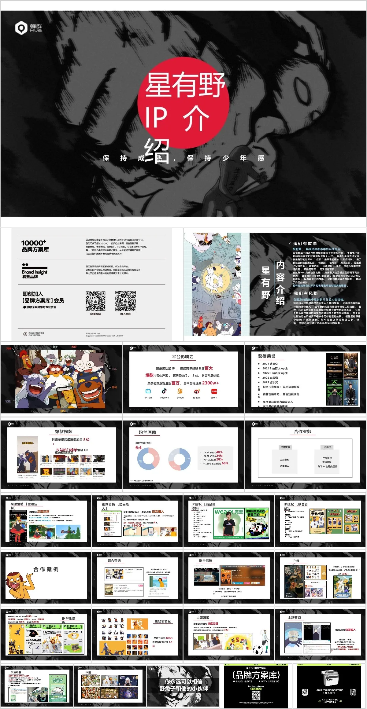 星有野IP介绍品牌IP形象推广宣讲PPT模板 - 模板内页详情长图