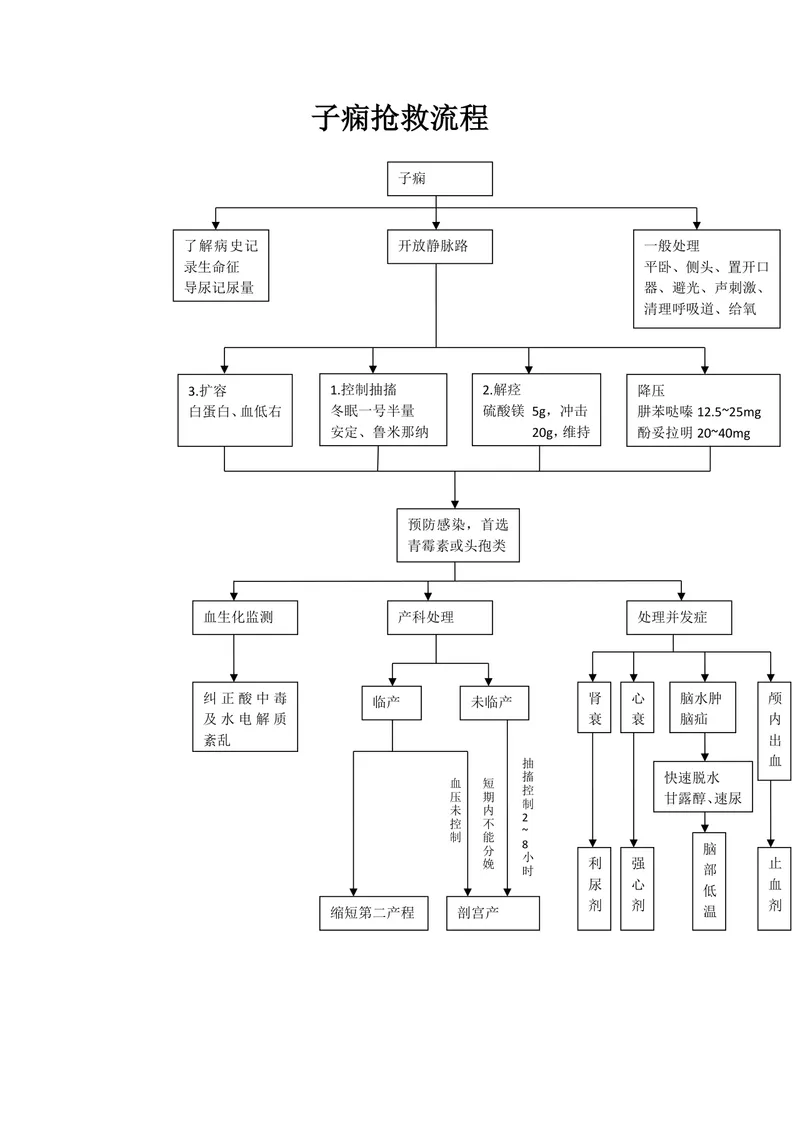 子痫抢救流程思维导图医疗产科急救规范操作指引Word文档 - 封面预览