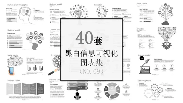 40套黑白信息可视化图表集思维导图PPT模板 - 封面预览