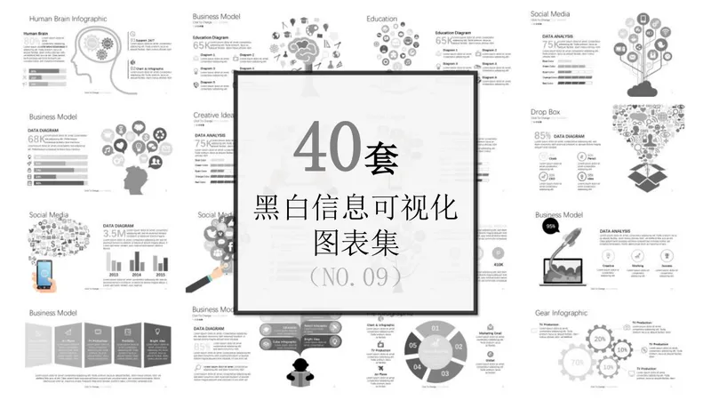 40套黑白信息可视化图表集思维导图PPT模板 - 封面预览