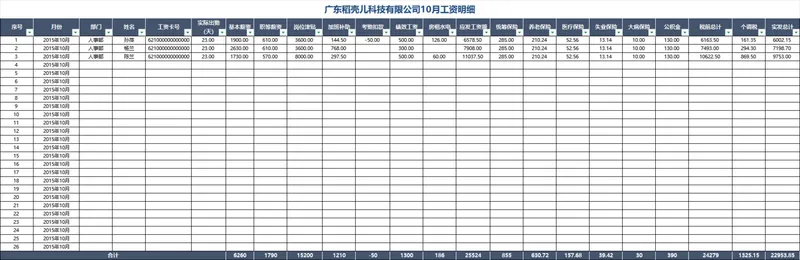 企业月度员工工资明细核算统计Excel表格 - 封面预览