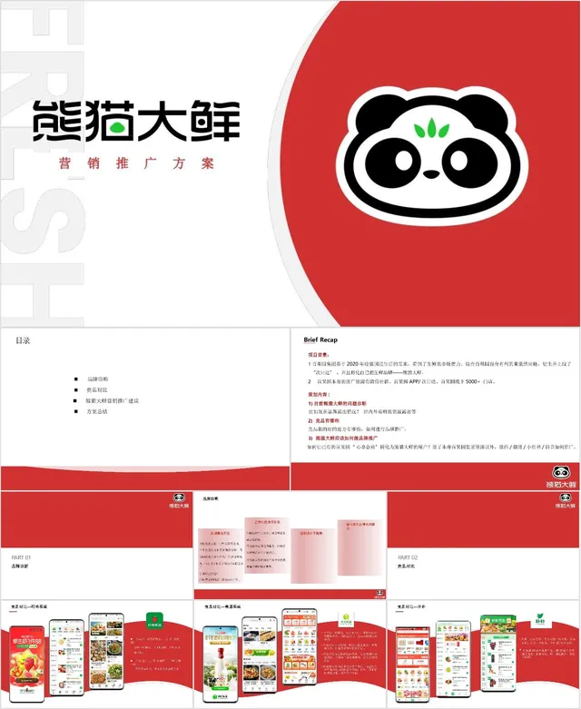 熊猫大鲜品牌营销推广方案PPT模板 - 封面预览