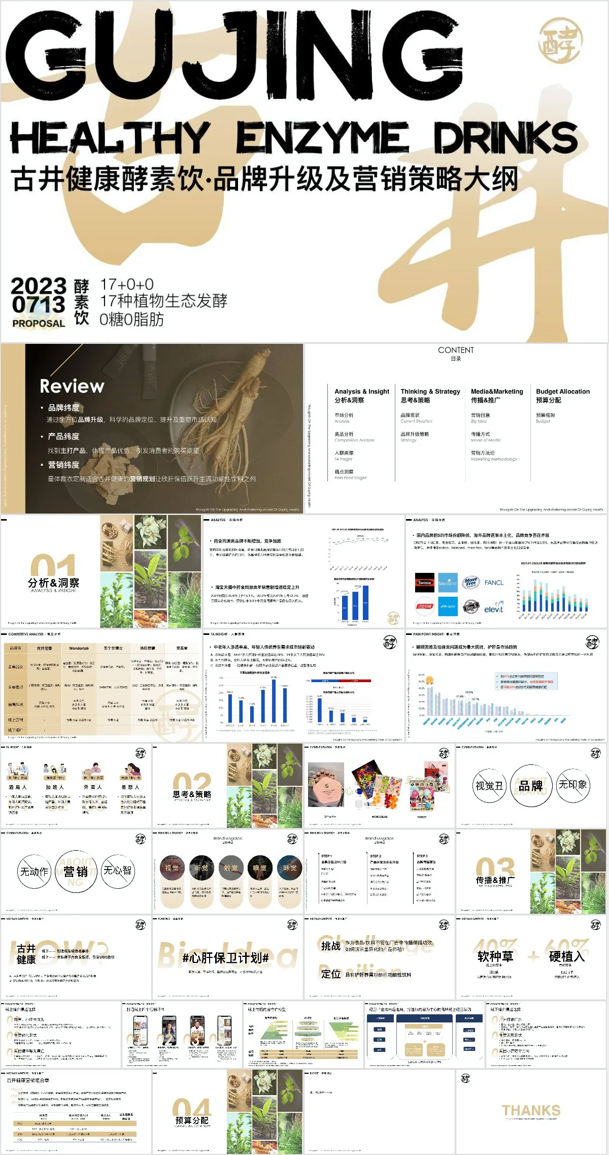 古井健康酵素饮品牌升级及营销策略大纲PPT模板 - 模板内页详情长图