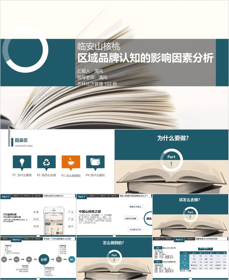 临安山核桃区域品牌认知影响因素分析 - 封面预览