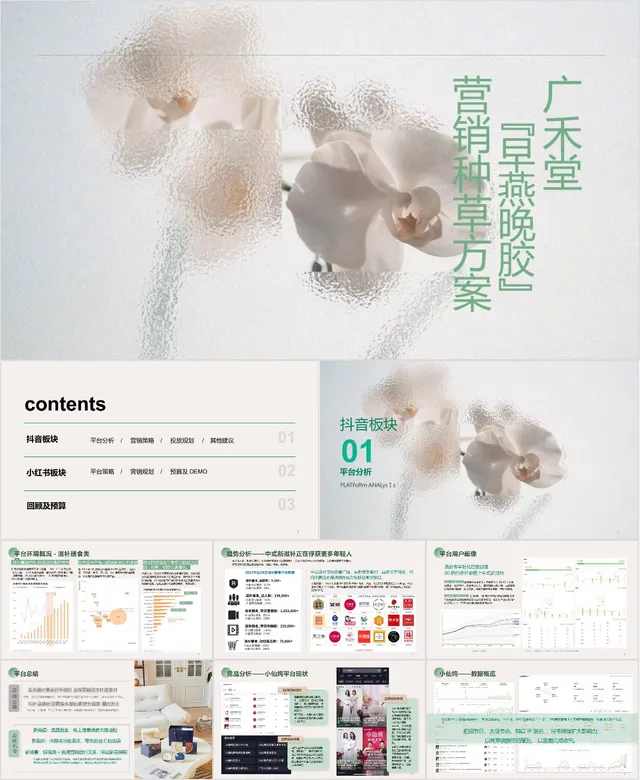 广禾堂早燕晚胶营销种草方案PPT模板 - 封面预览