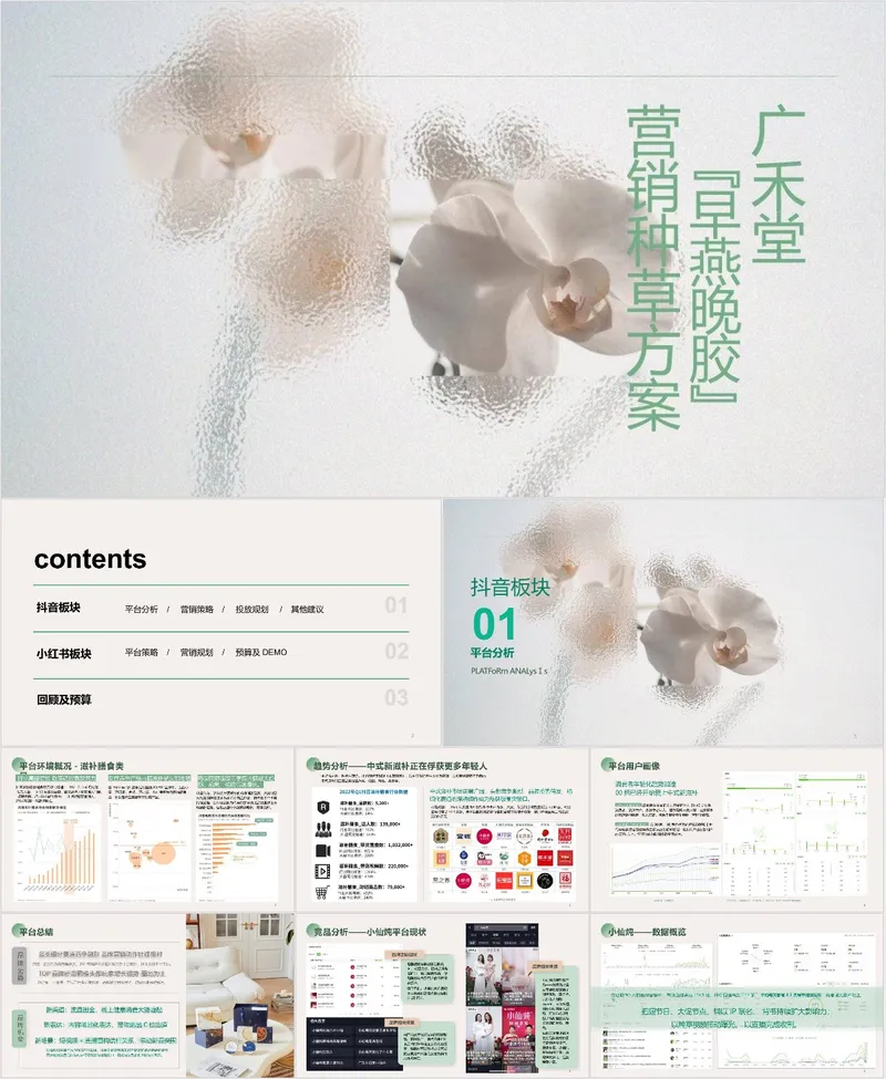 广禾堂早燕晚胶营销种草方案PPT模板 - 封面预览