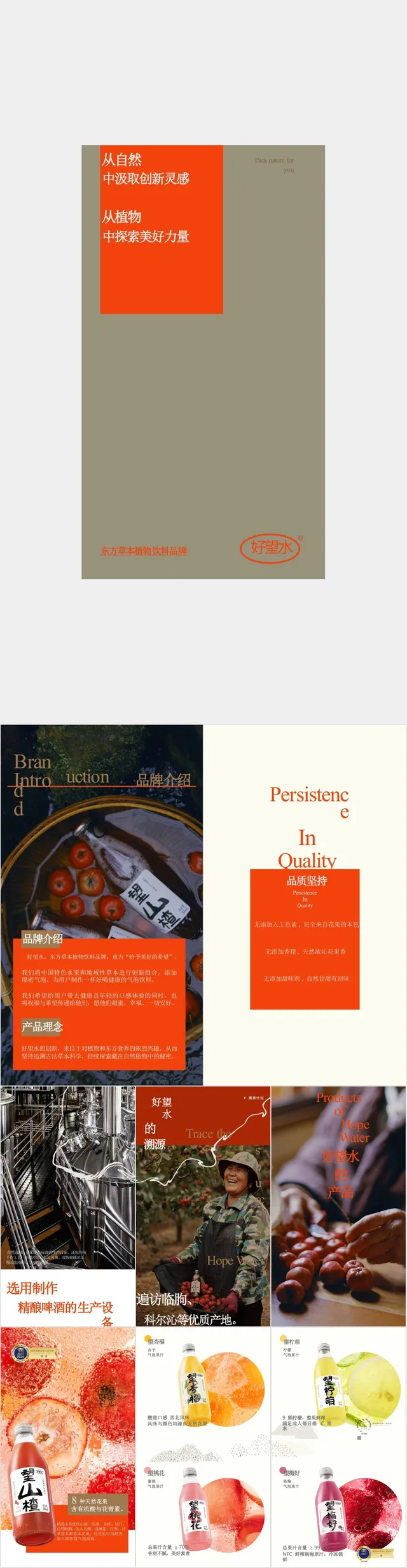 东方草本植物饮料品牌好望水产品介绍宣传PPT模板 - 封面预览
