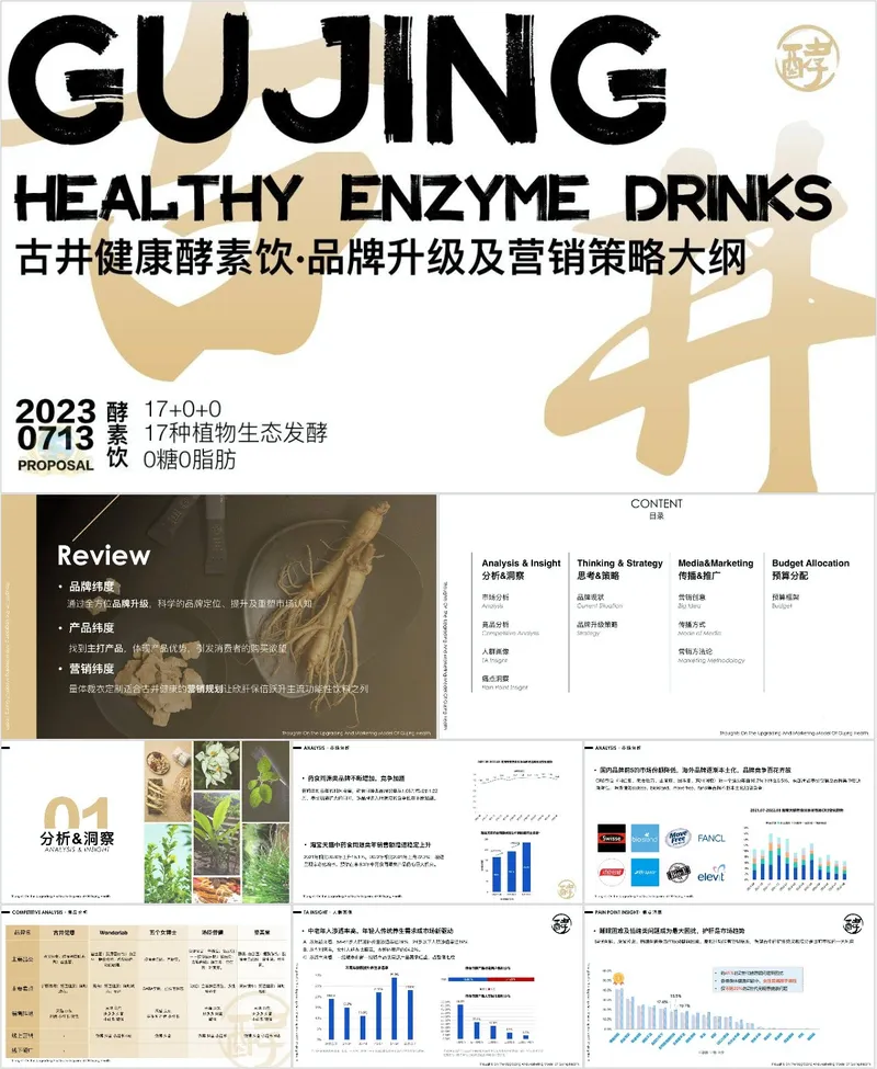 古井健康酵素饮品牌升级及营销策略大纲PPT模板 - 封面预览