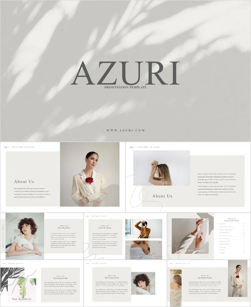 AZURI浅灰简约通用演示PPT模板 - 封面预览