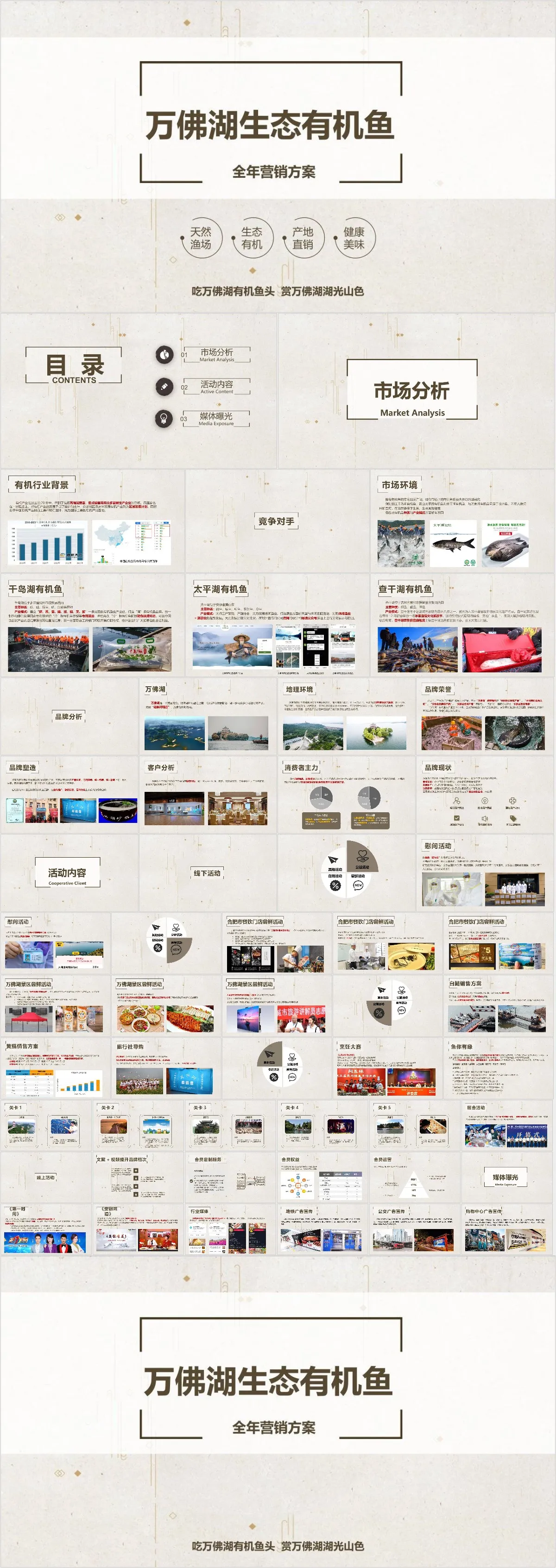 万佛湖生态有机鱼全年营销方案PPT模板 - 模板内页详情长图