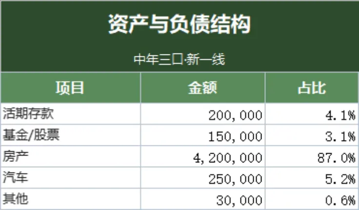 家庭资产负债与结构统计Excel表格 - 第2页