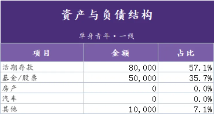 单身青年家庭资产负债统计与结构分析Excel表格 - 第2页