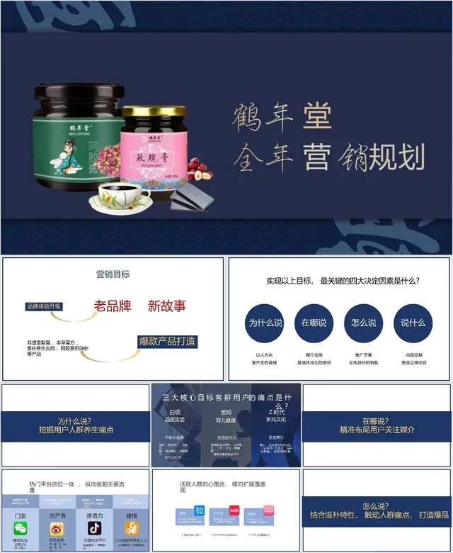 鹤年堂养生膏产品全年营销规划PPT模板 - 封面预览