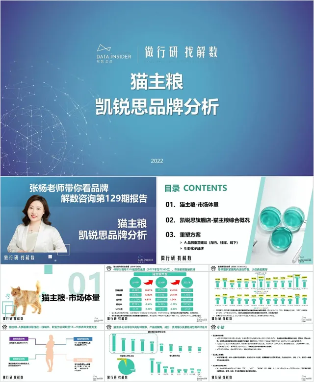 猫主粮凯锐思品牌分析行业研究汇报PPT模板 - 封面预览