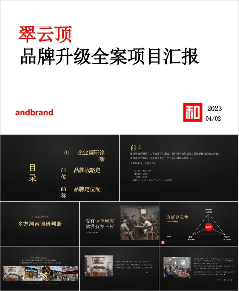 翠云顶品牌升级全案项目汇报PPT模板 - 封面预览