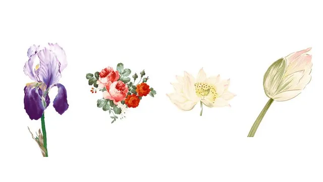 水彩国风花卉免抠贴纸素材图片 适用于手账海报包装装饰设计 - 封面预览