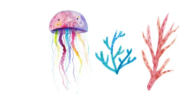 水彩风海洋生物水母珊瑚小鱼免抠装饰贴纸素材图片 - 封面预览