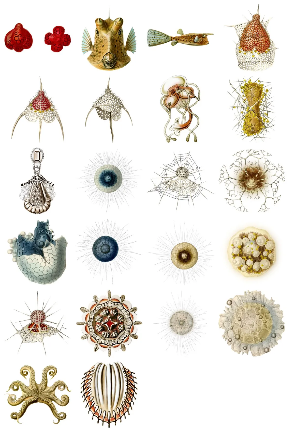 复古手绘海洋古生物免抠贴纸素材图片 - 模板内页详情长图